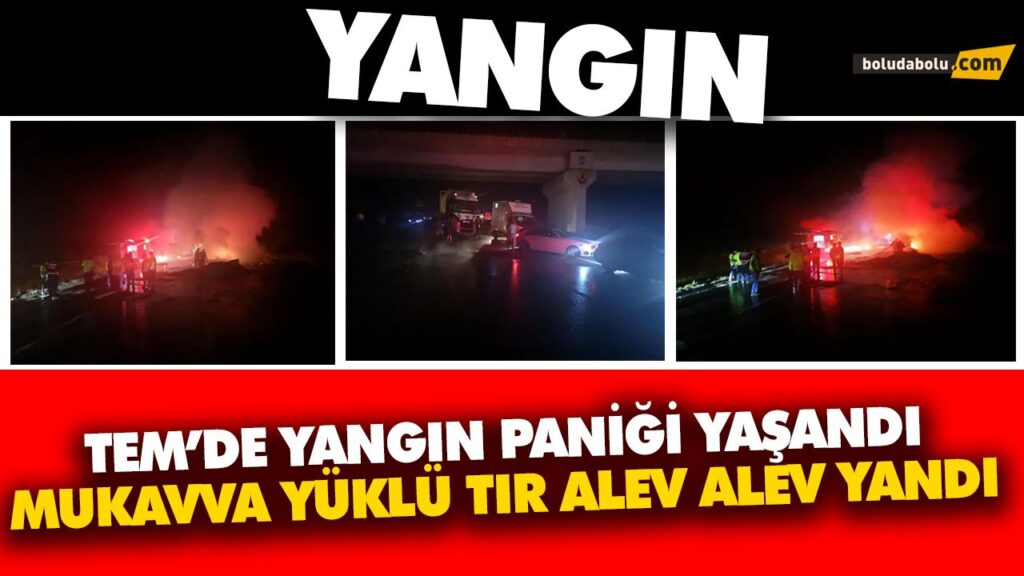 GECE SAATLERİNDE YANGIN KORKUTTU GECE SAATLERİNDE YANGIN KORKUTTU