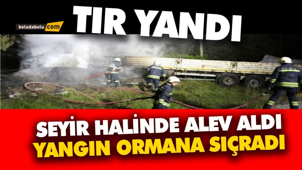 LASTİĞİ PATLAYAN TIR UÇURUMA UÇTU LASTİĞİ PATLAYAN TIR UÇURUMA UÇTU