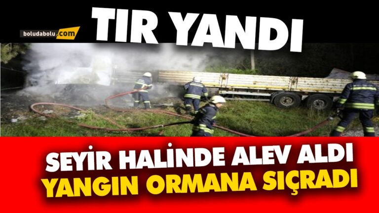 LASTİĞİ PATLAYAN TIR UÇURUMA UÇTU