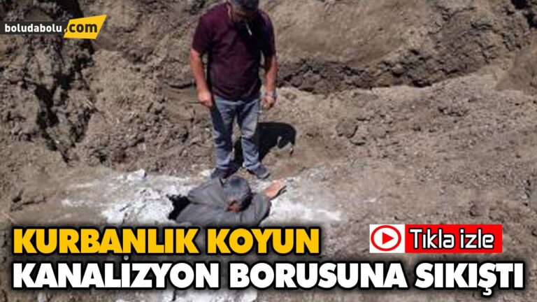 EKİPLERDEN KURBANLIK KOYUN MESAİSİ