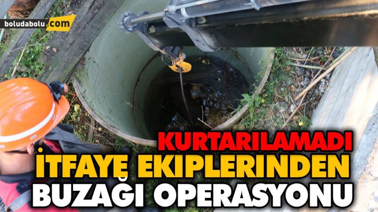 KUYUYA DÜŞEN BUZAĞI TELEF OLDU