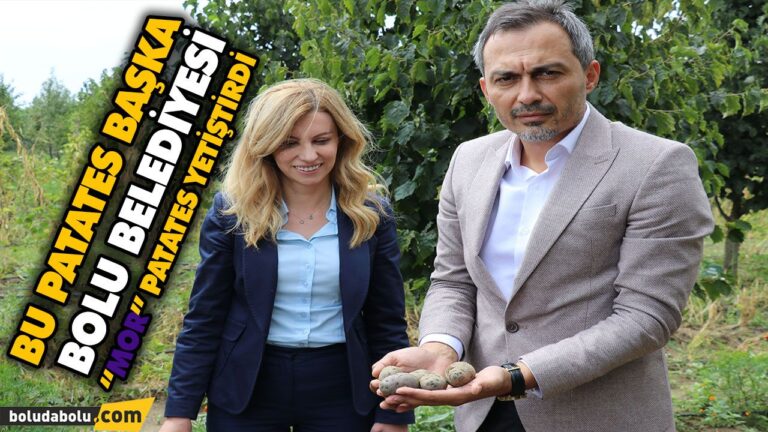 BU PATATES BAŞKA