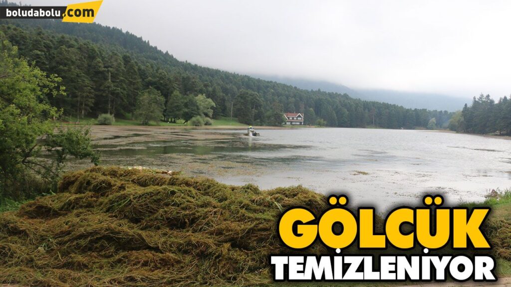 GÖLCÜK’TE İSTİLACI BİTKİLER TEMİZLENİYOR GÖLCÜK’TE İSTİLACI BİTKİLER TEMİZLENİYOR