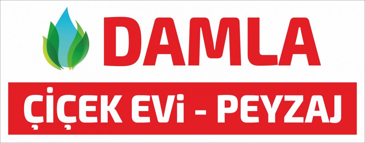 21da0-6d7dd24beace69283555fb67e1c87dfa.jpg