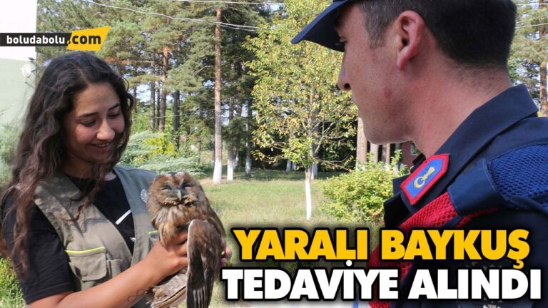YARALI BAYKUŞ TEDAVİYE ALINDI