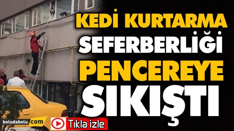 PENCEREYE SIKIŞTI