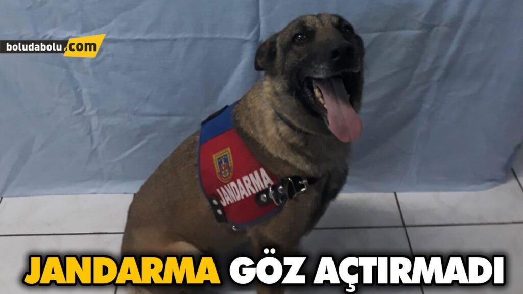 JANDARMA GÖZ AÇTIRMADI JANDARMA GÖZ AÇTIRMADI