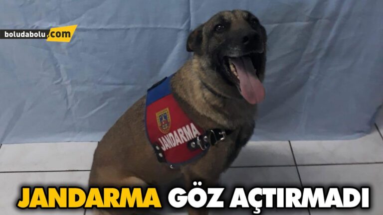 JANDARMA GÖZ AÇTIRMADI