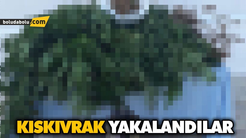 KISKIVRAK YAKALANDILAR KISKIVRAK YAKALANDILAR