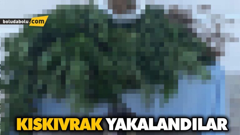 KISKIVRAK YAKALANDILAR