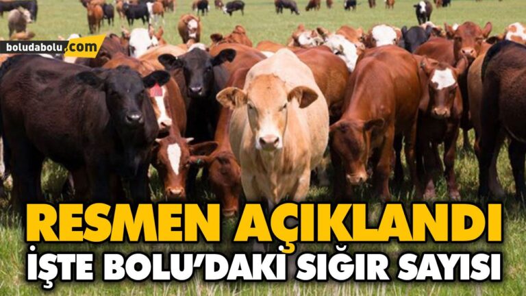 BOLU’NUN HAYVANSAL ÜRETİM İSTATİSTİKLERİ AÇIKLANDI