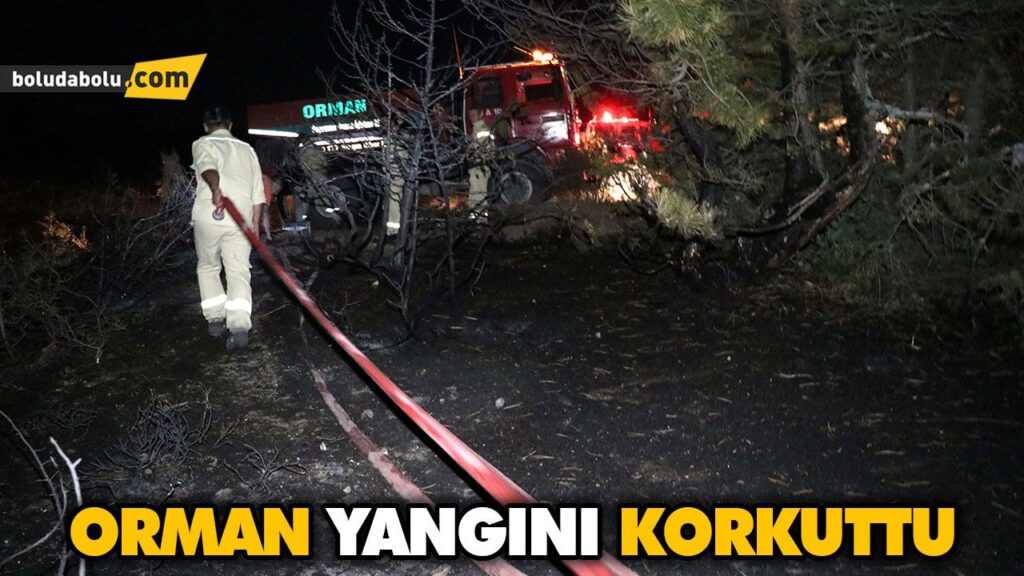 ORMAN YANGINI KORKUTTU ORMAN YANGINI KORKUTTU