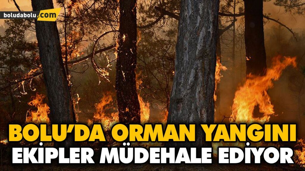 BOLU’DA ORMAN YANGINI BOLU’DA ORMAN YANGINI