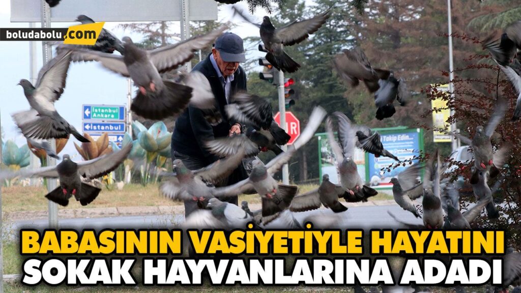 BABASININ VASİYETİYLE HAYATINI SOKAK HAYVANLARINA ADADI
