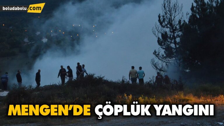 MENGEN’DE ÇÖPLÜK YANGINI