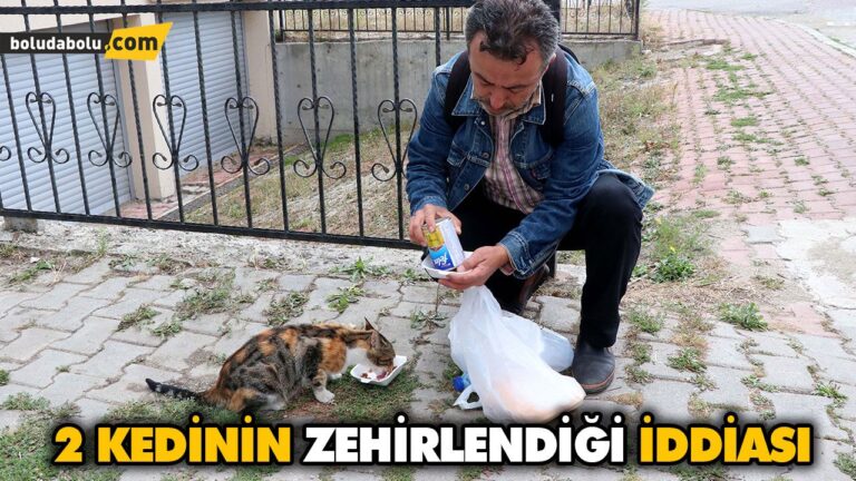 İKİ SOKAK KEDİSİNİN CANSIZ BEDENİ İNCELEMEYE ALINDI