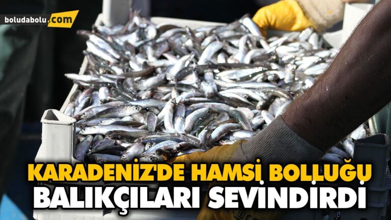 KARADENİZ’DE HAMSİ BOLLUĞU BALIKÇILARI SEVİNDİRDİ