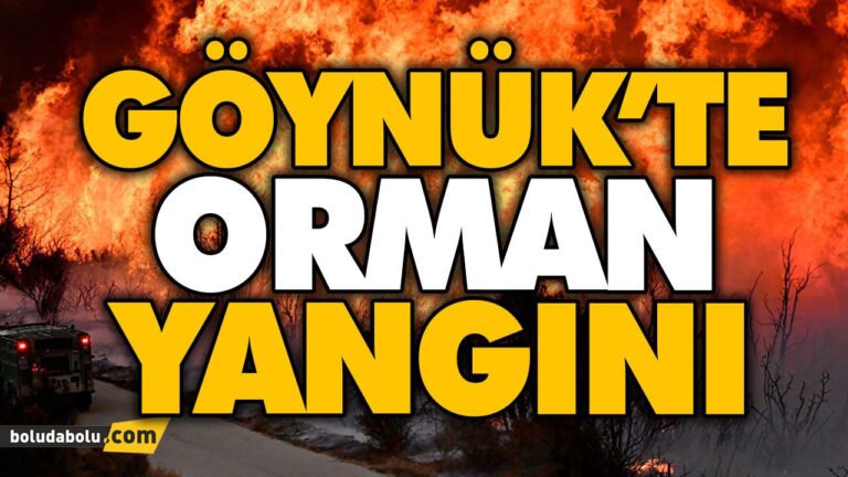 ORMAN YANGINI KORKUTTU