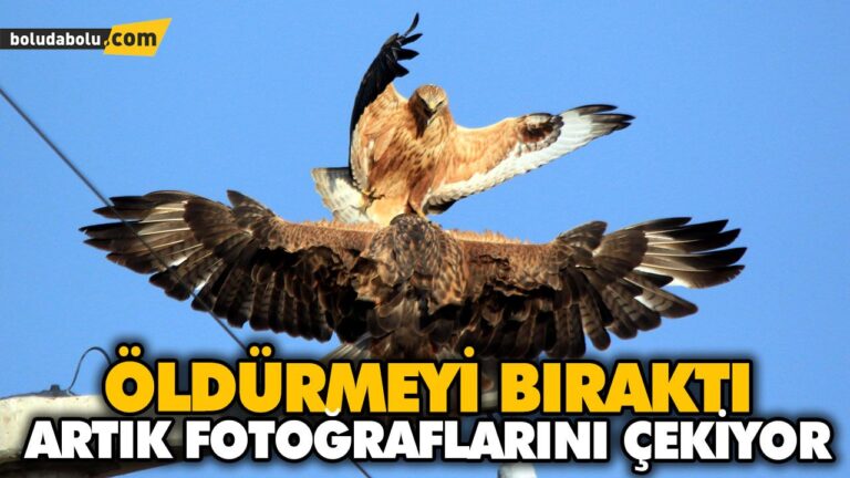 ÖLDÜRMEYİ BIRAKTI, ARTIK FOTOĞRAFLARINI ÇEKİYOR