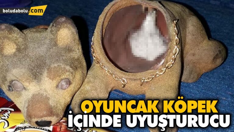 OYUNCAK KÖPEK İÇİNDE UYUŞTURUCU