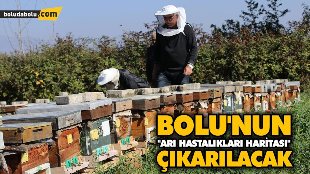 BOLU’NUN “ARI HASTALIKLARI HARİTASI” ÇIKARILACAK BOLU’NUN “ARI HASTALIKLARI HARİTASI” ÇIKARILACAK