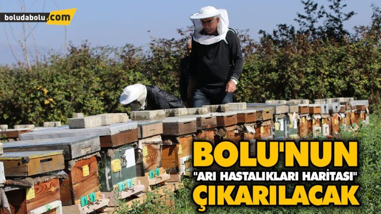 BOLU’NUN “ARI HASTALIKLARI HARİTASI” ÇIKARILACAK