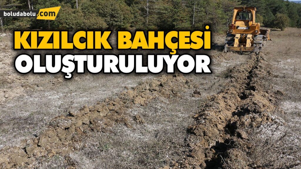KIZILCIK BAHÇESİ OLUŞTURULUYOR KIZILCIK BAHÇESİ OLUŞTURULUYOR