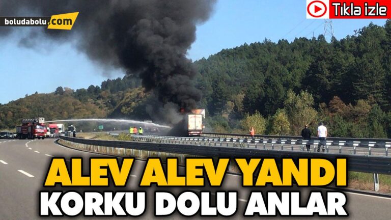ALEV ALEV YANDI
