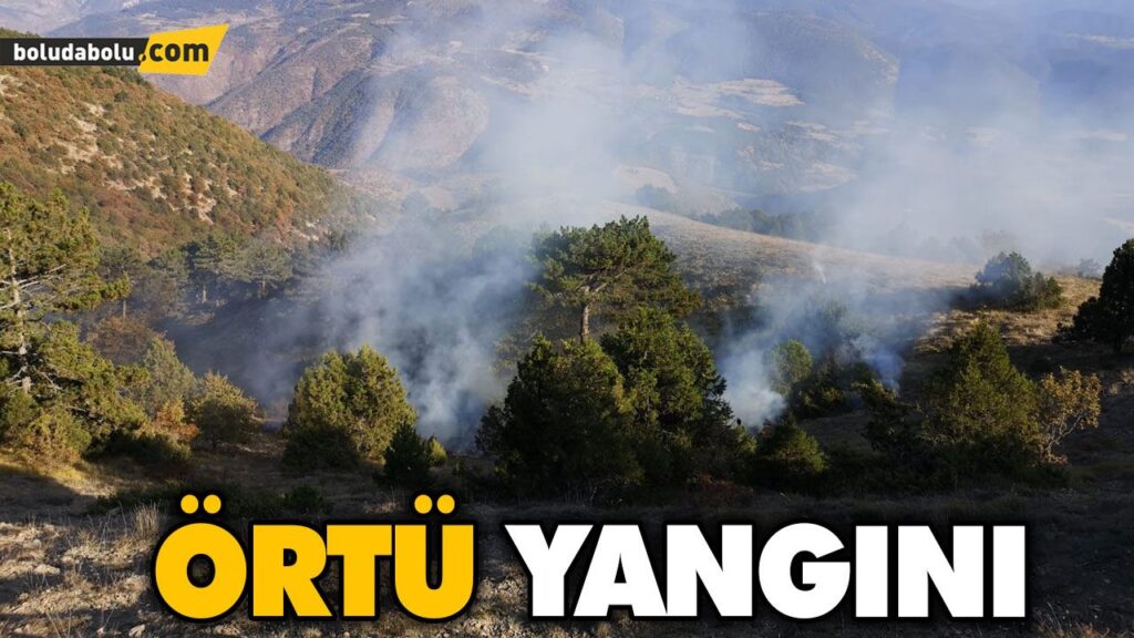ÖRTÜ YANGINI ÖRTÜ YANGINI