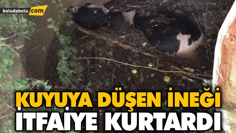 KUYUYA DÜŞEN İNEĞİ İTFAİYE KURTARDI