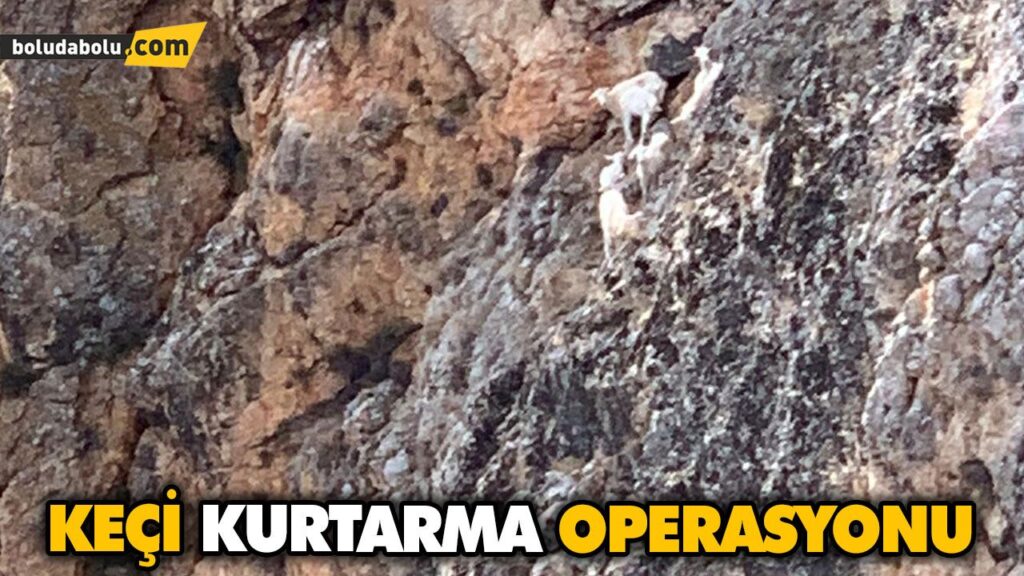 UÇURUMDA MAHSUR KALAN KEÇİLER KURTARILDI UÇURUMDA MAHSUR KALAN KEÇİLER KURTARILDI