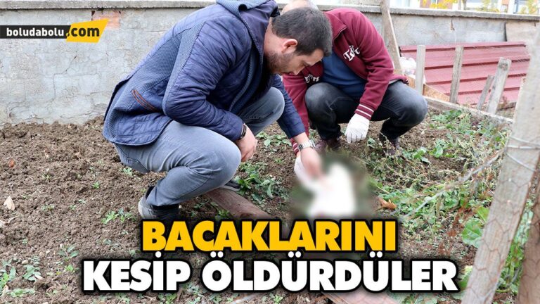 BACAKLARINI KESİP ÖLDÜRDÜLER
