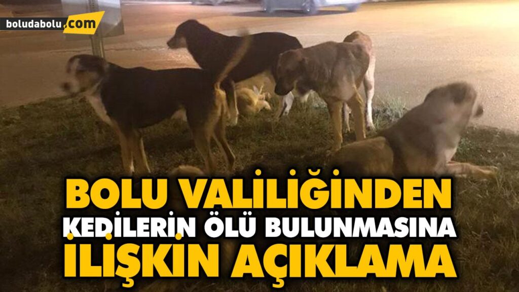BOLU VALİLİĞİNDEN KEDİLERİN ÖLÜ BULUNMASINA İLİŞKİN AÇIKLAMA BOLU VALİLİĞİNDEN KEDİLERİN ÖLÜ BULUNMASINA İLİŞKİN AÇIKLAMA