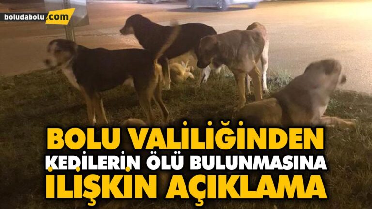 BOLU VALİLİĞİNDEN KEDİLERİN ÖLÜ BULUNMASINA İLİŞKİN AÇIKLAMA