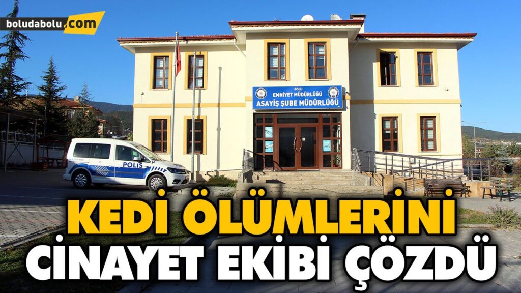 KEDİ ÖLÜMLERİNİ CİNAYET EKİBİ ÇÖZDÜ KEDİ ÖLÜMLERİNİ CİNAYET EKİBİ ÇÖZDÜ