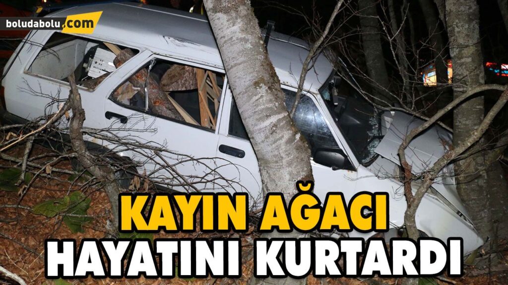 SÜRÜCÜNÜN HAYATINI KAYIN AĞAÇLARI HAYATINI KURTARDI SÜRÜCÜNÜN HAYATINI KAYIN AĞAÇLARI HAYATINI KURTARDI