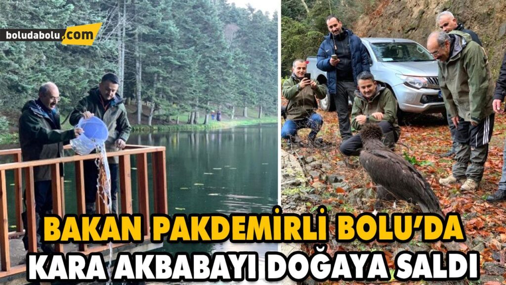 BAKAN PAKDEMİRLİ KARA AKBABAYI DOĞAYA SALDI BAKAN PAKDEMİRLİ KARA AKBABAYI DOĞAYA SALDI