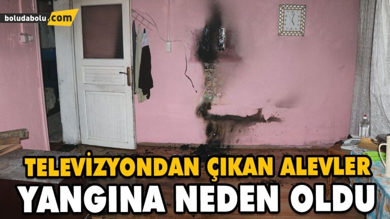 TELEVİZYONDAN ÇIKAN ALEVLER YANGINA NEDEN OLDU