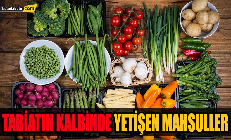 TABİATIN KALBİ BOLU’DA YETİŞEN İNCİLER