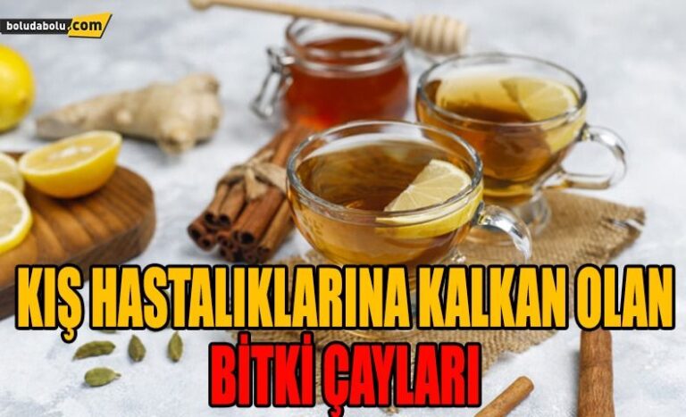 KIŞ HASTALIKLARINA KALKAN OLAN BİTKİ ÇAYLARI