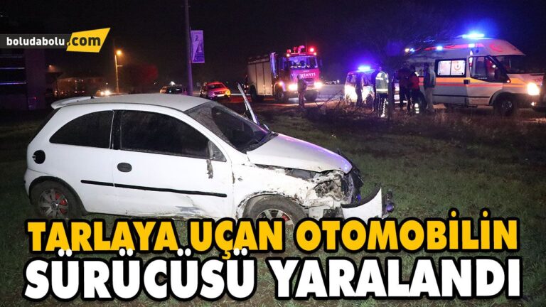 TARLAYA UÇAN OTOMOBİLİN SÜRÜCÜSÜ YARALANDI