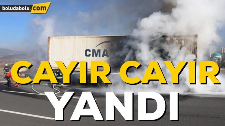 LASTİĞİ PATLAYAN TIRIN DORSESİ ALEV ALEV YANDI