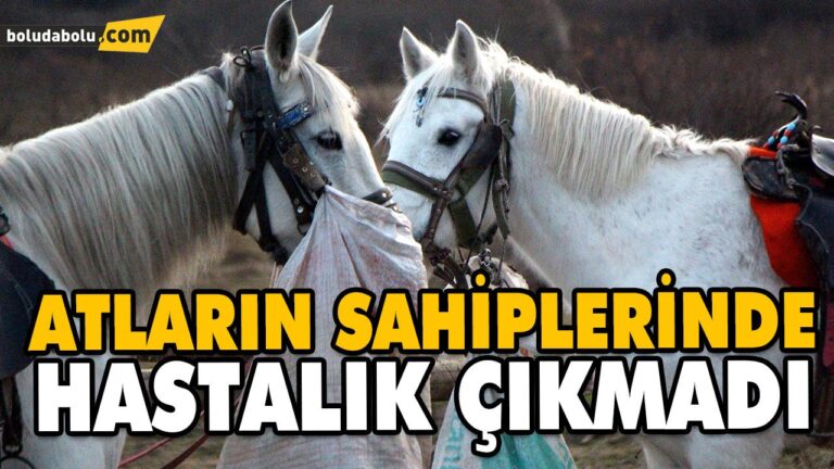 ATLARIN SAHİPLERİNDE HASTALIK ÇIKMADI