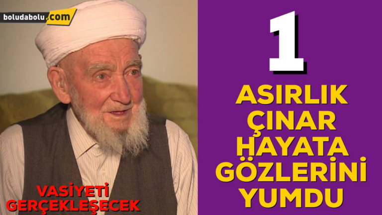 1 ASIRLIK ÇINAR HAYATA VEDA ETTİ