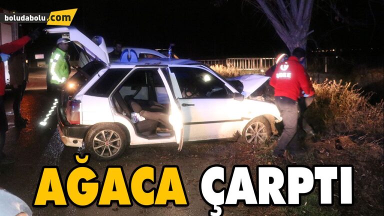 YOLDAN ÇIKAN OTOMOBİL AĞACA ÇARPTI