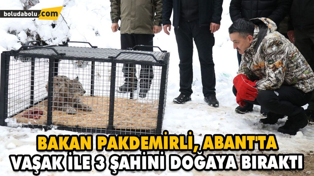 BAKAN PAKDEMİRLİ, ABANT’TA VAŞAK İLE 3 ŞAHİNİ DOĞAYA BIRAKTI BAKAN PAKDEMİRLİ, ABANT’TA VAŞAK İLE 3 ŞAHİNİ DOĞAYA BIRAKTI