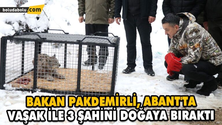 BAKAN PAKDEMİRLİ, ABANT’TA VAŞAK İLE 3 ŞAHİNİ DOĞAYA BIRAKTI
