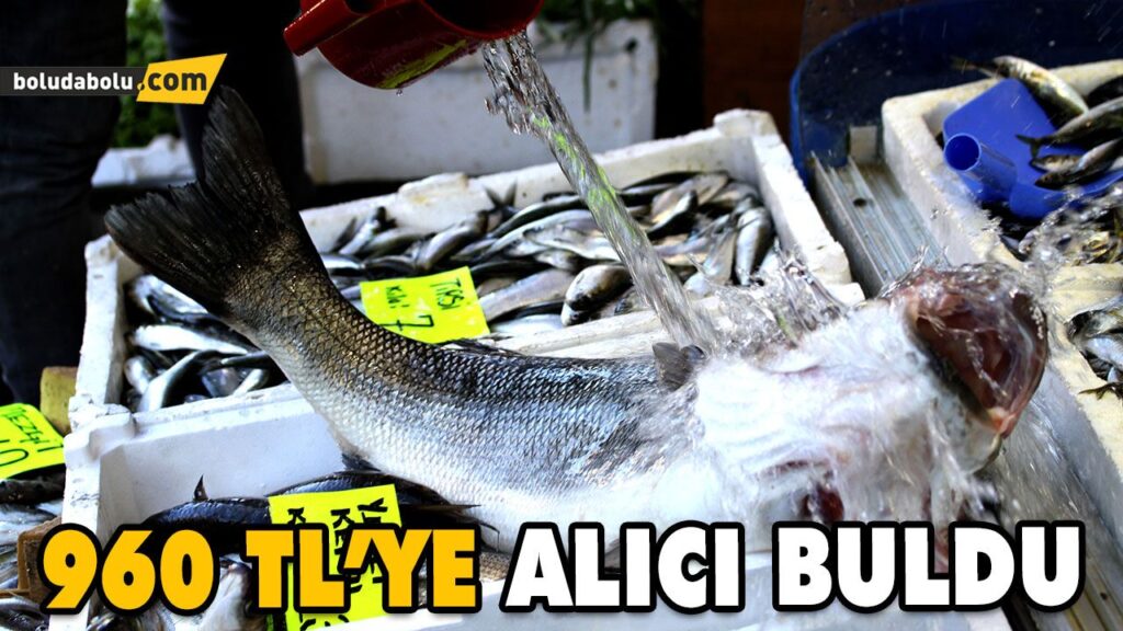 AĞLARA TAKILAN 8 KİLOGRAMLIK LEVREK 960 LİRAYA SATILDI