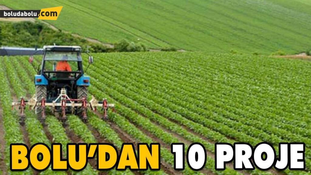 20 KIRSAL KALKINMA PROJESİNE 10 MİLYONLUK HİBE DESTEĞİ 20 KIRSAL KALKINMA PROJESİNE 10 MİLYONLUK HİBE DESTEĞİ