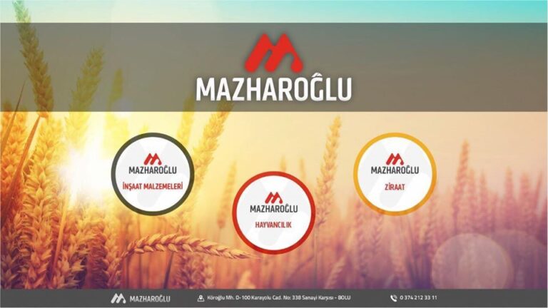 Mazharoğlu İnşaat BOLU